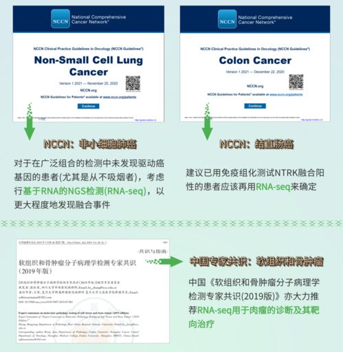融二为一，精准抗癌 燃石医学DNA+RNA双检测赋能实体瘤患者——论文解读肝癌血浆microRNA标志物检测报告系统