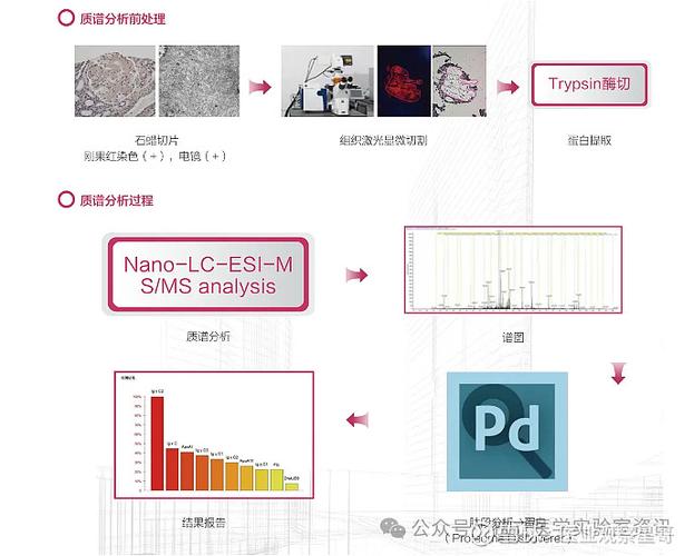 肝癌血浆microRNA标志物检测报告系统 临床质谱检测企业的新蓝海