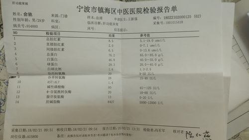 抽血检验报告单汇总与肝癌血浆microRNA标志物检测报告系统